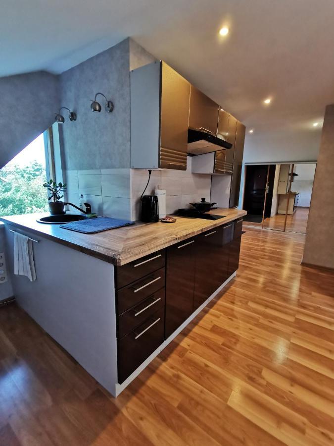Apartment Silent Loft For Getaway